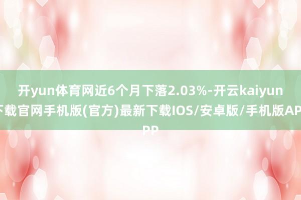 开yun体育网近6个月下落2.03%-开云kaiyun下载官网手机版(官方)最新下载IOS/安卓版/手机版APP