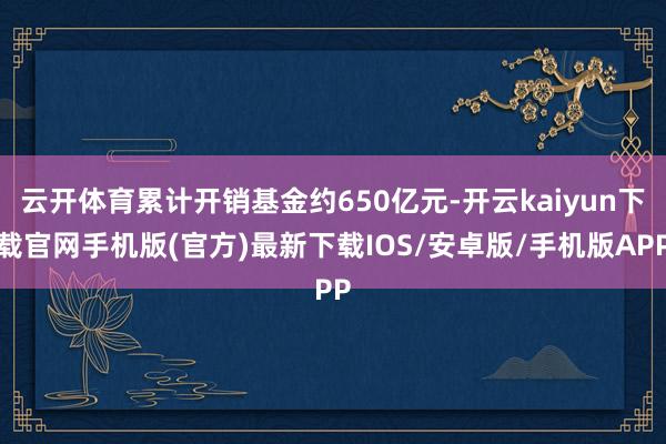 云开体育累计开销基金约650亿元-开云kaiyun下载官网手机版(官方)最新下载IOS/安卓版/手机版APP